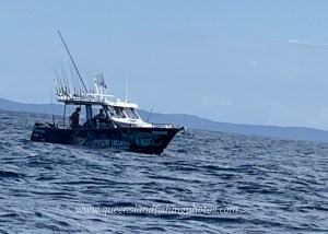 moreton fishing charter